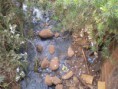 /album/corrego-agua-branca/imagem-148-jpg/